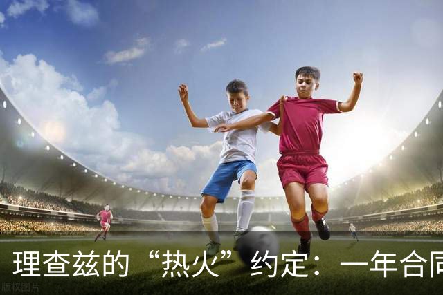 理查兹的“热火”约定：一年合同，如同馋人的甜点