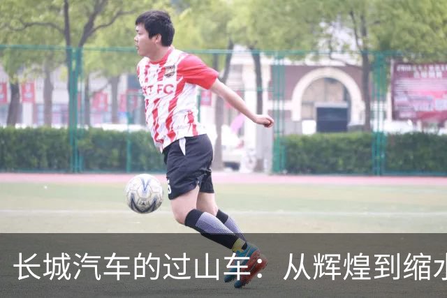 长城汽车的过山车：从辉煌到缩水的五年历险记